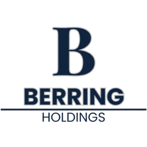 Berring Holdings ecosystem supporting portfolio companies through governance, strategy, and shared services
